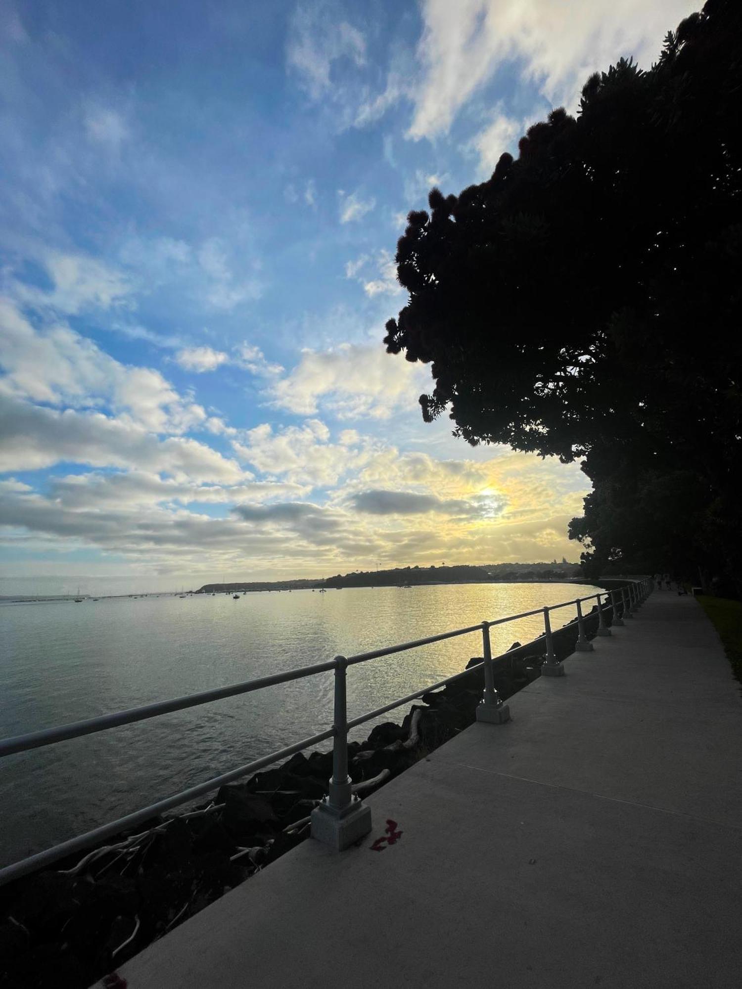Luxury Apartment - Parking - Hot Tub - Stunning Views Auckland Eksteriør billede