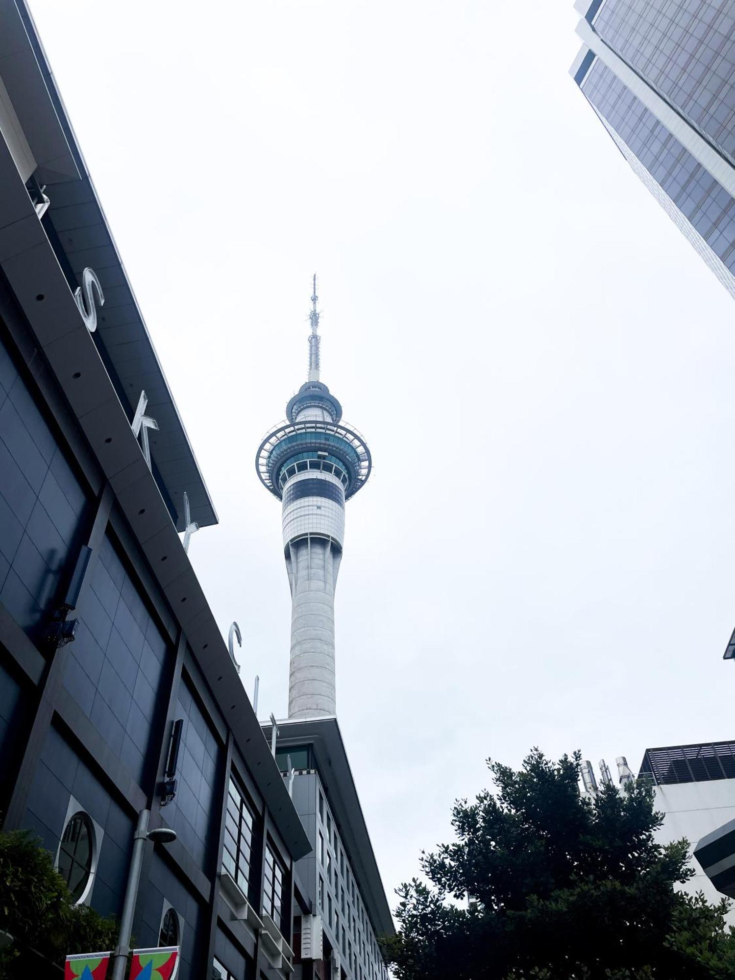 Luxury Apartment - Parking - Hot Tub - Stunning Views Auckland Eksteriør billede